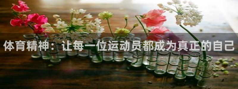 利记官方正版app代理:体育精神:让每一位运动员都成为真正的